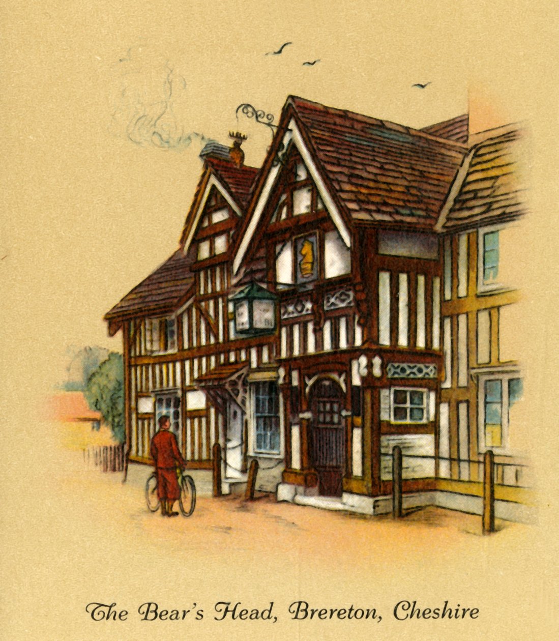Ayılar Kafası, Brereton, Cheshire, 1936. by Unbekannt