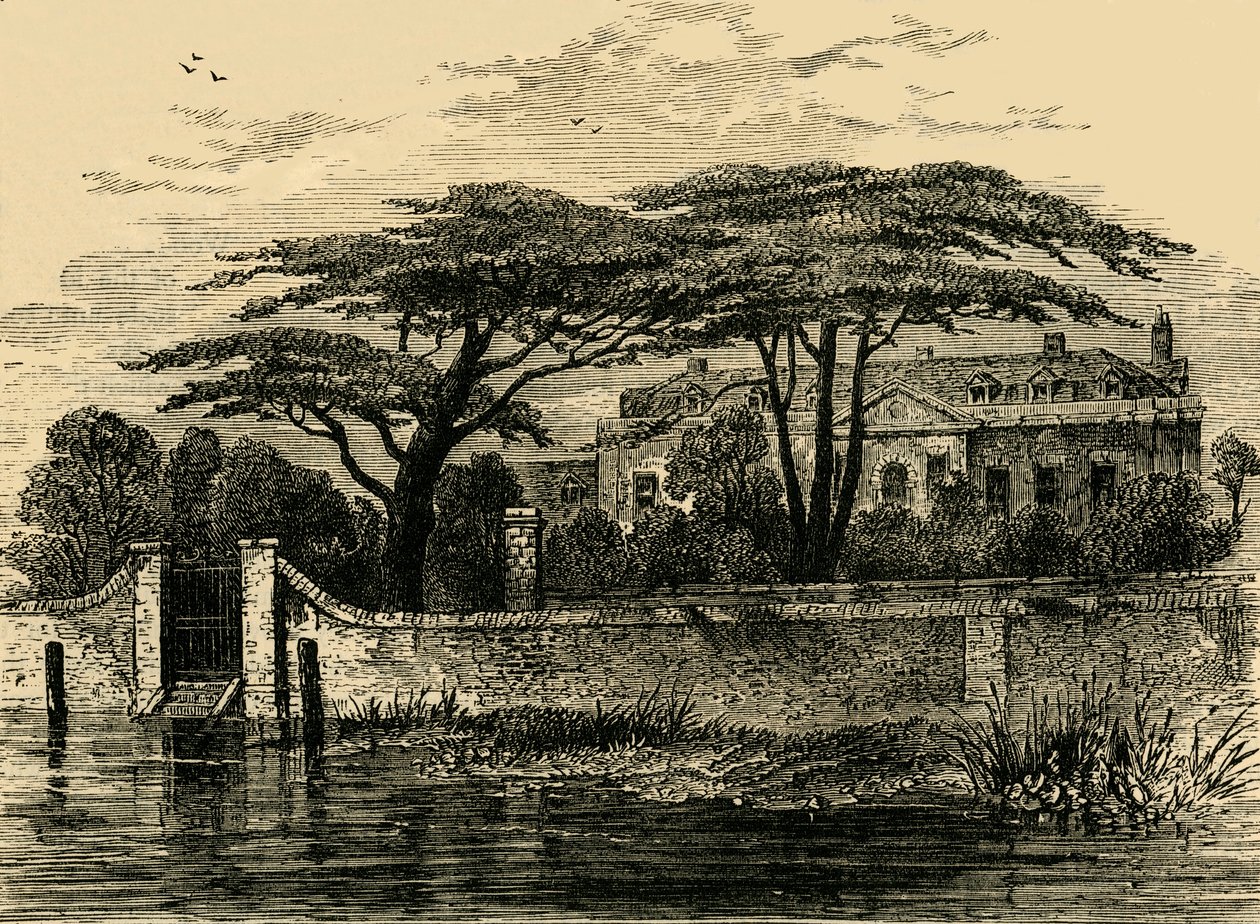 Botanik Bahçeleri, Chelsea, 1790, c1876. by Unbekannt