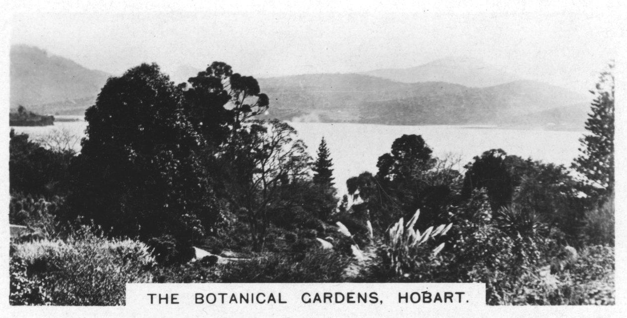 Botanik Bahçeleri, Hobart, Tazmanya, 1928 by Unbekannt