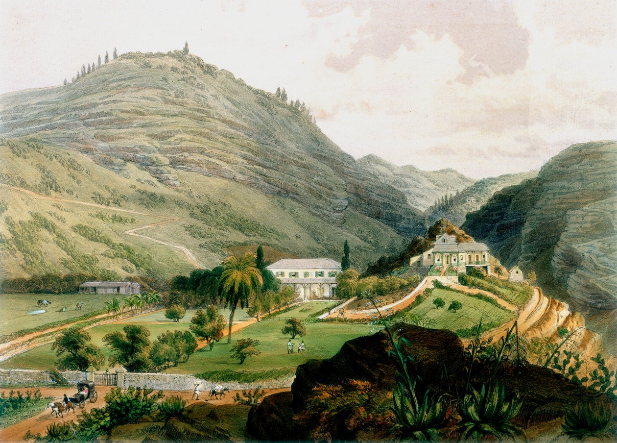 Briars, St Helena, 19. yüzyılın başlarında 1851 by Unbekannt