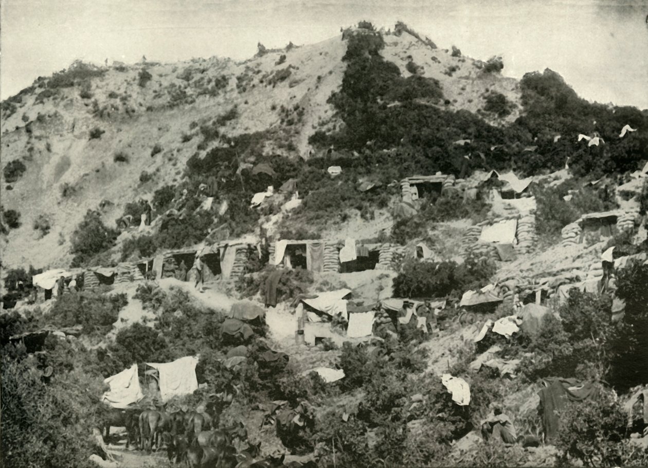Gelibolu Yarımadası