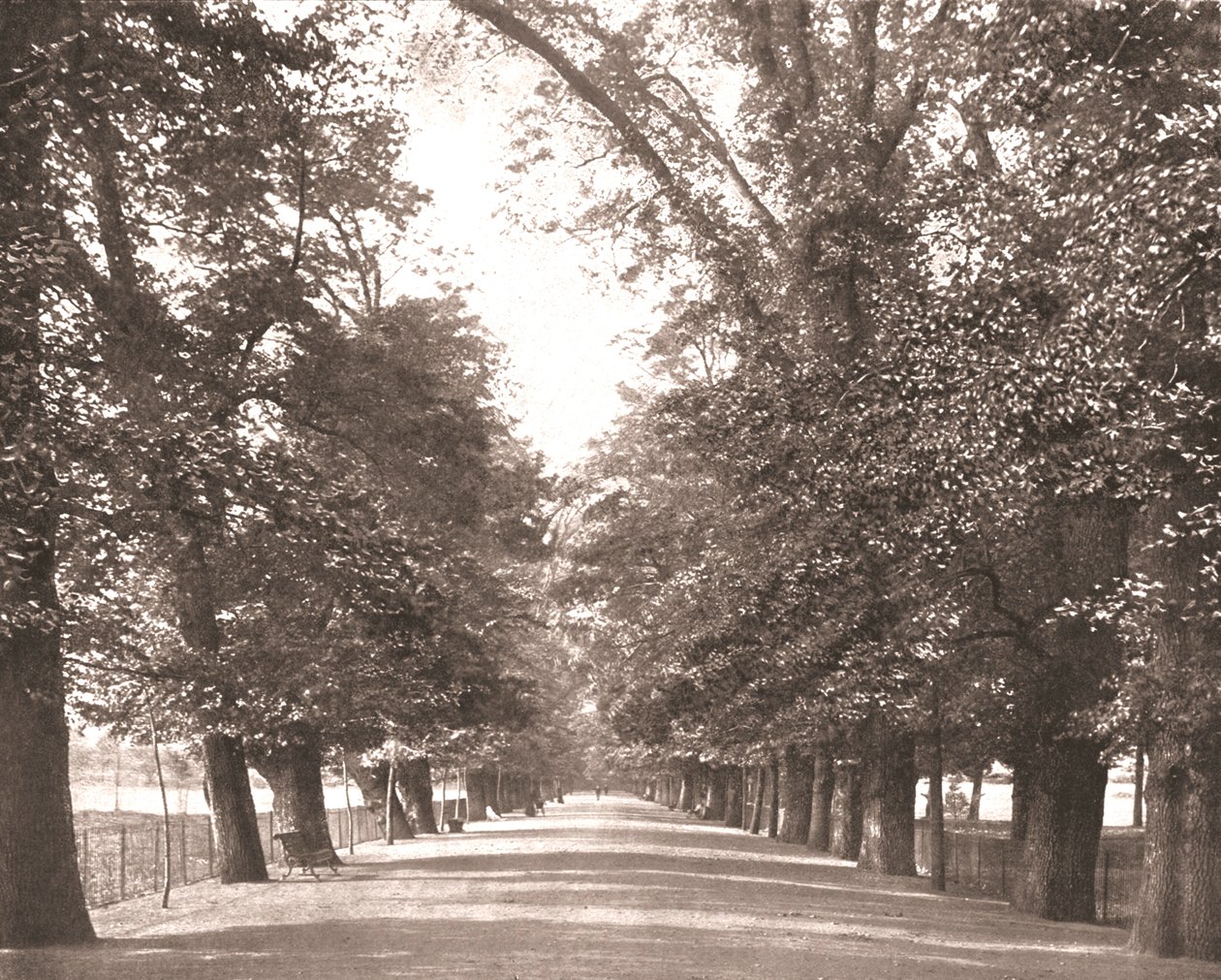 Geniş Yürüyüş, Oxford, 1894. by Unbekannt