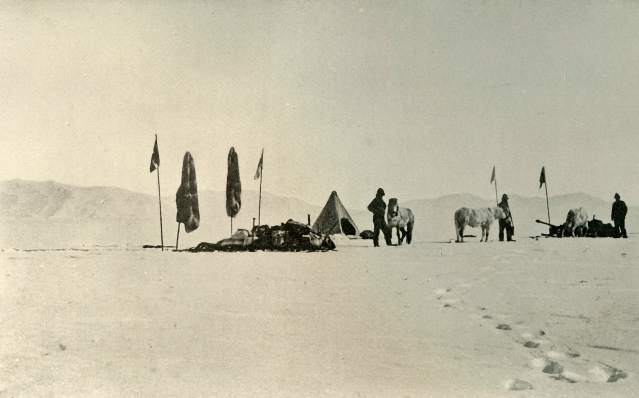 Önceki En Uzak Güney Enlemini Geçtikten Sonra Kamp, Kasım 1908, 1909 by Unbekannt