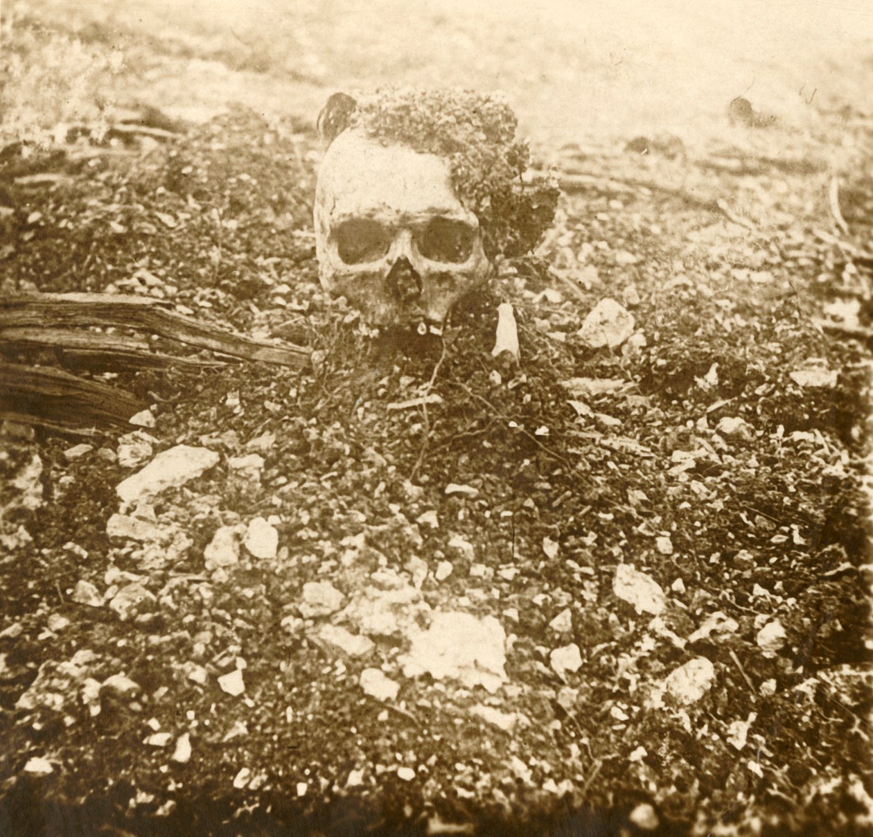 Veliaht Prens, Verdun, Kuzey Fransa, 1916 by Unbekannt