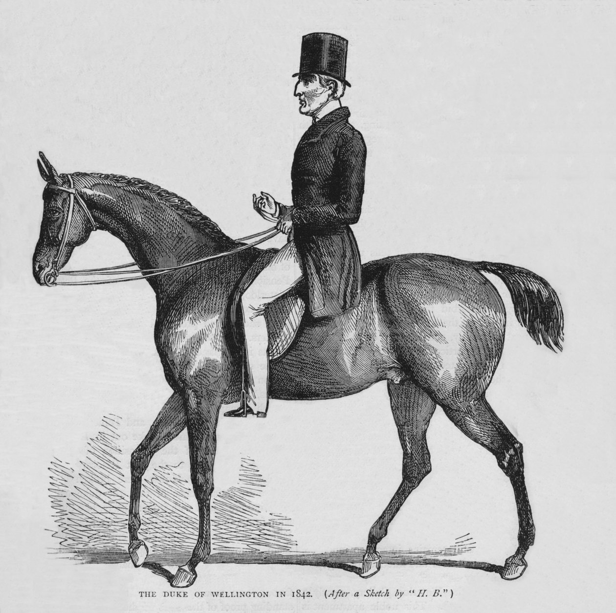 Wellington Dükü, 1842 1878 by Unbekannt