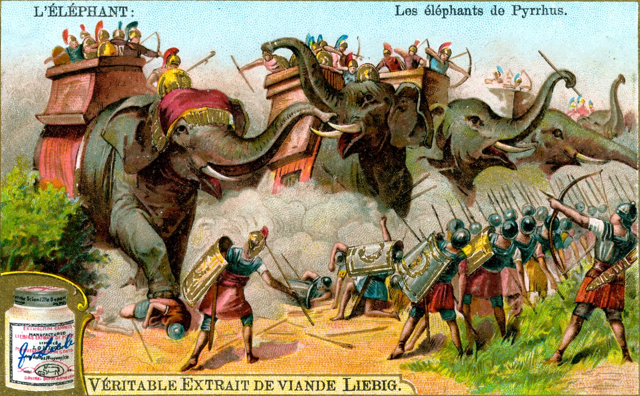 Pyrrhus'un Filleri, c1900 by Unbekannt