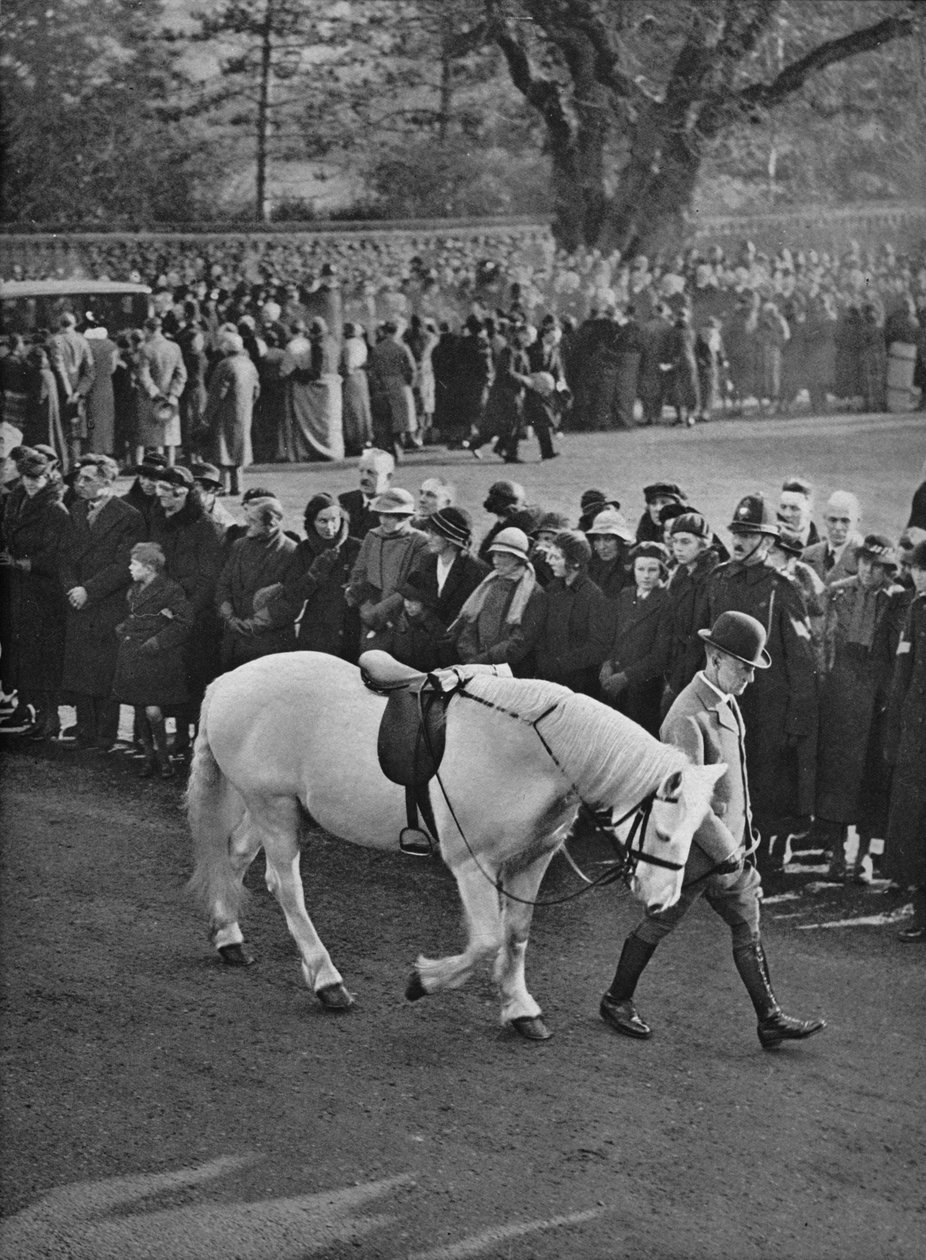 Boş Eyer: Kral Georges beyaz midilli, Jock, alayda yönetiliyor, 1936 by Unbekannt