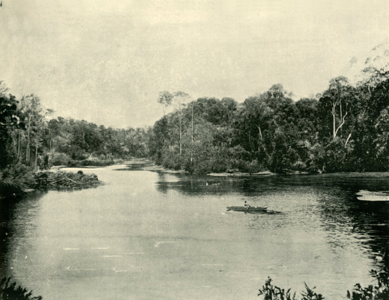 Enoggera Rezervuarı, 1901. by Unbekannt