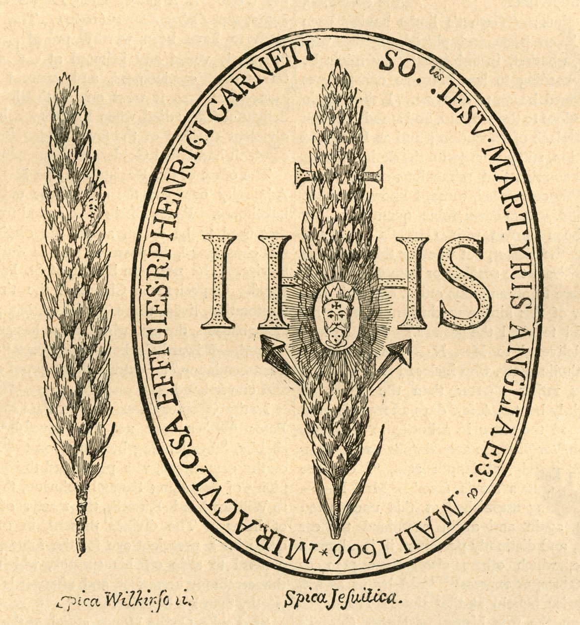 Samandaki Yüz. - Abbots Anthologia'dan, 1613, 1897. by Unbekannt