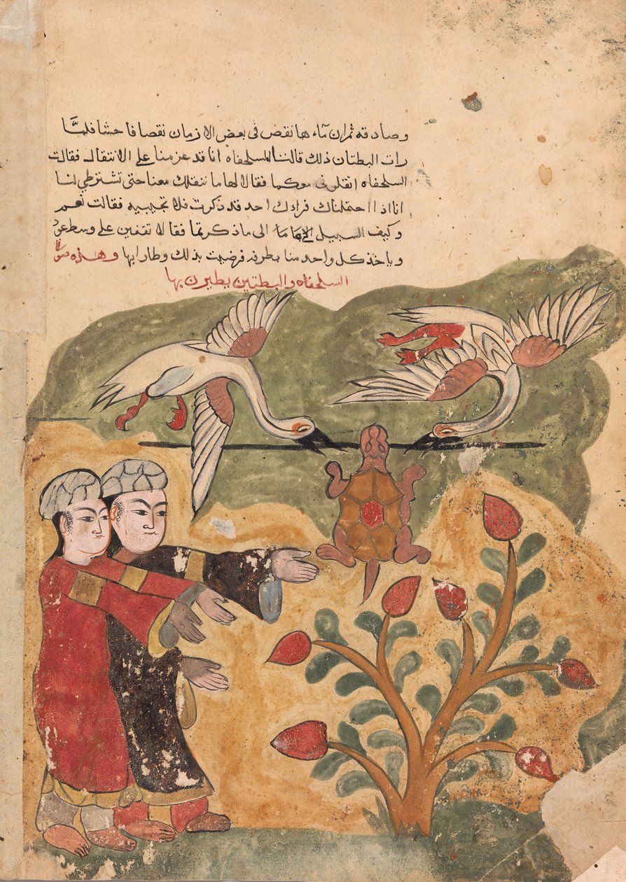 Kaplumbağa