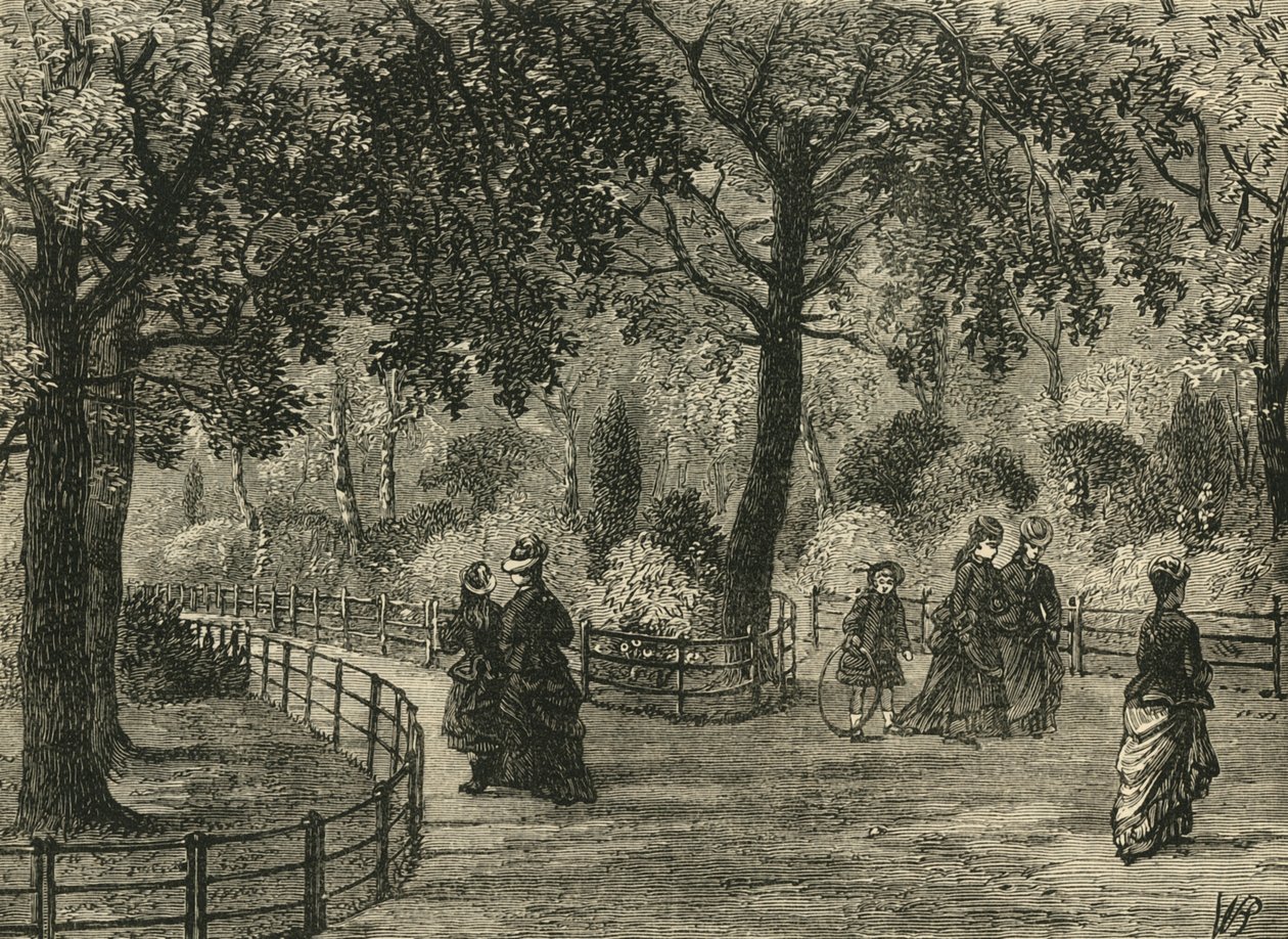 Çiçek Yürüyüşleri, Kensington Bahçeleri, c1876. by Unbekannt