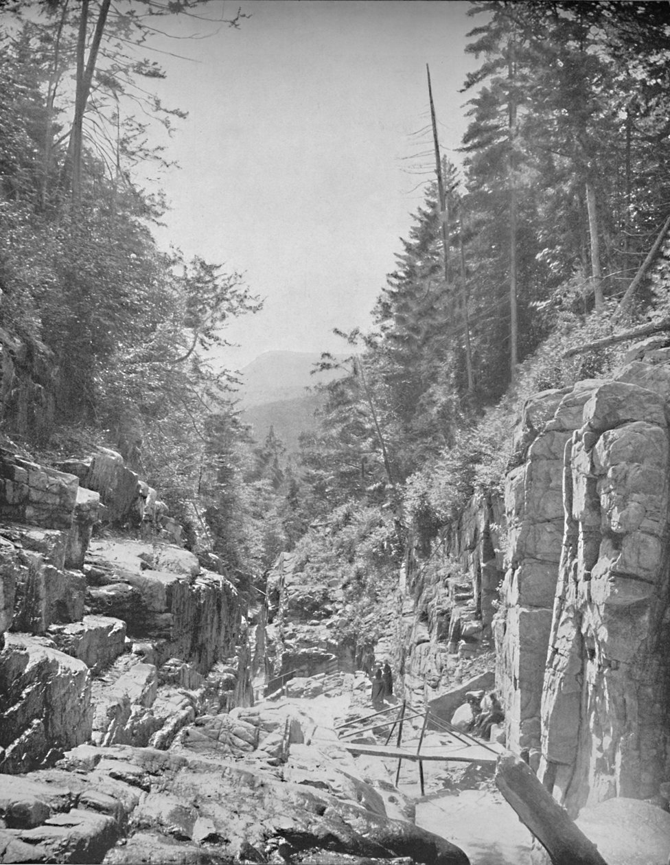 Flume, Frankonya Beyaz Dağlar, N.H., c1897. by Unbekannt