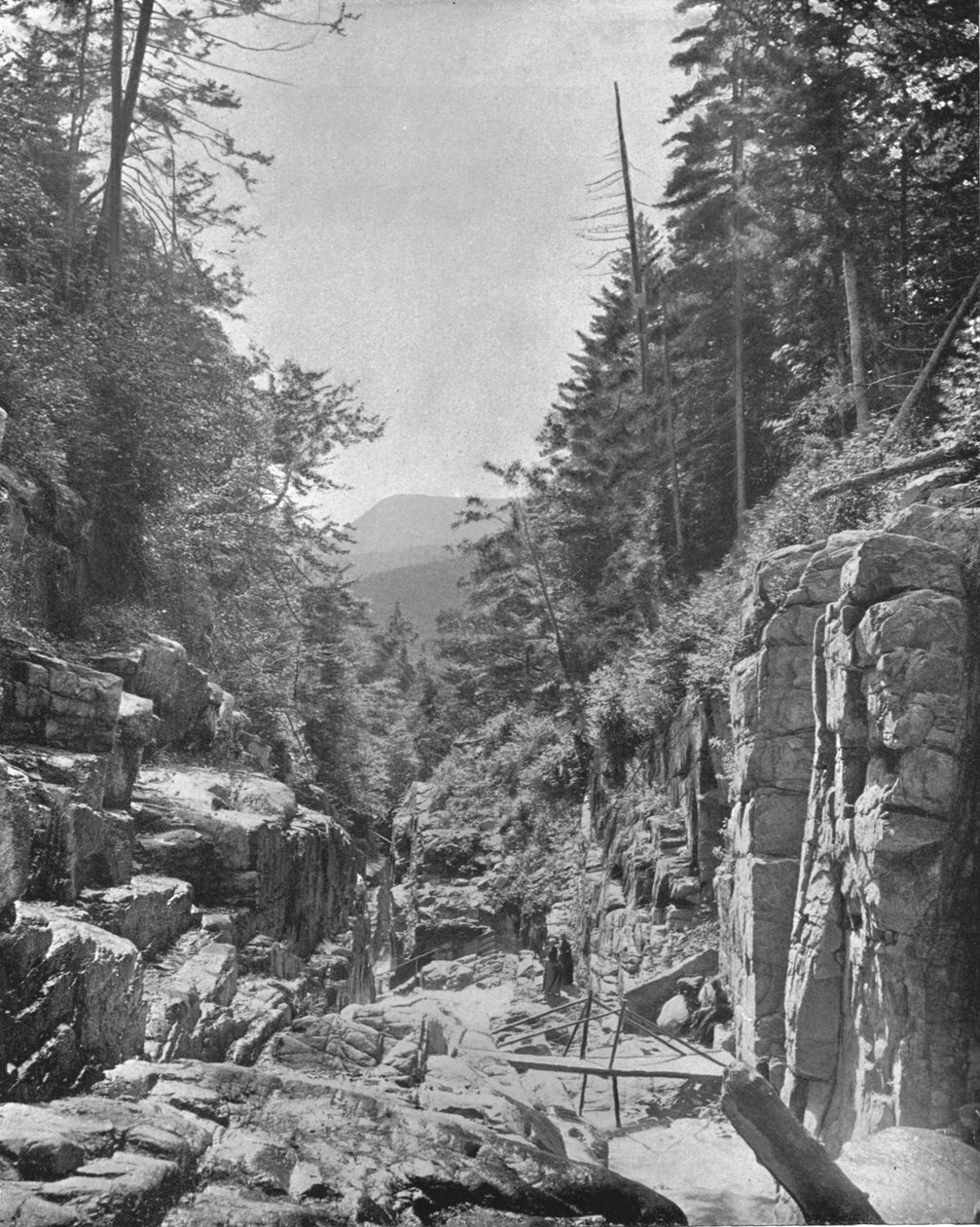 Flume, Frankonya Beyaz Dağlar, New Hampshire, ABD, c1900. by Unbekannt