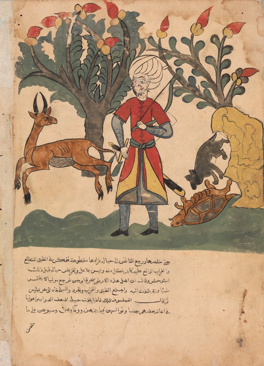 Fare Bağlanmış Kaplumbağayı Serbest Bırakırken Ceylan Avcıyı Çekiyor..., 18. yüzyıl. by Unbekannt