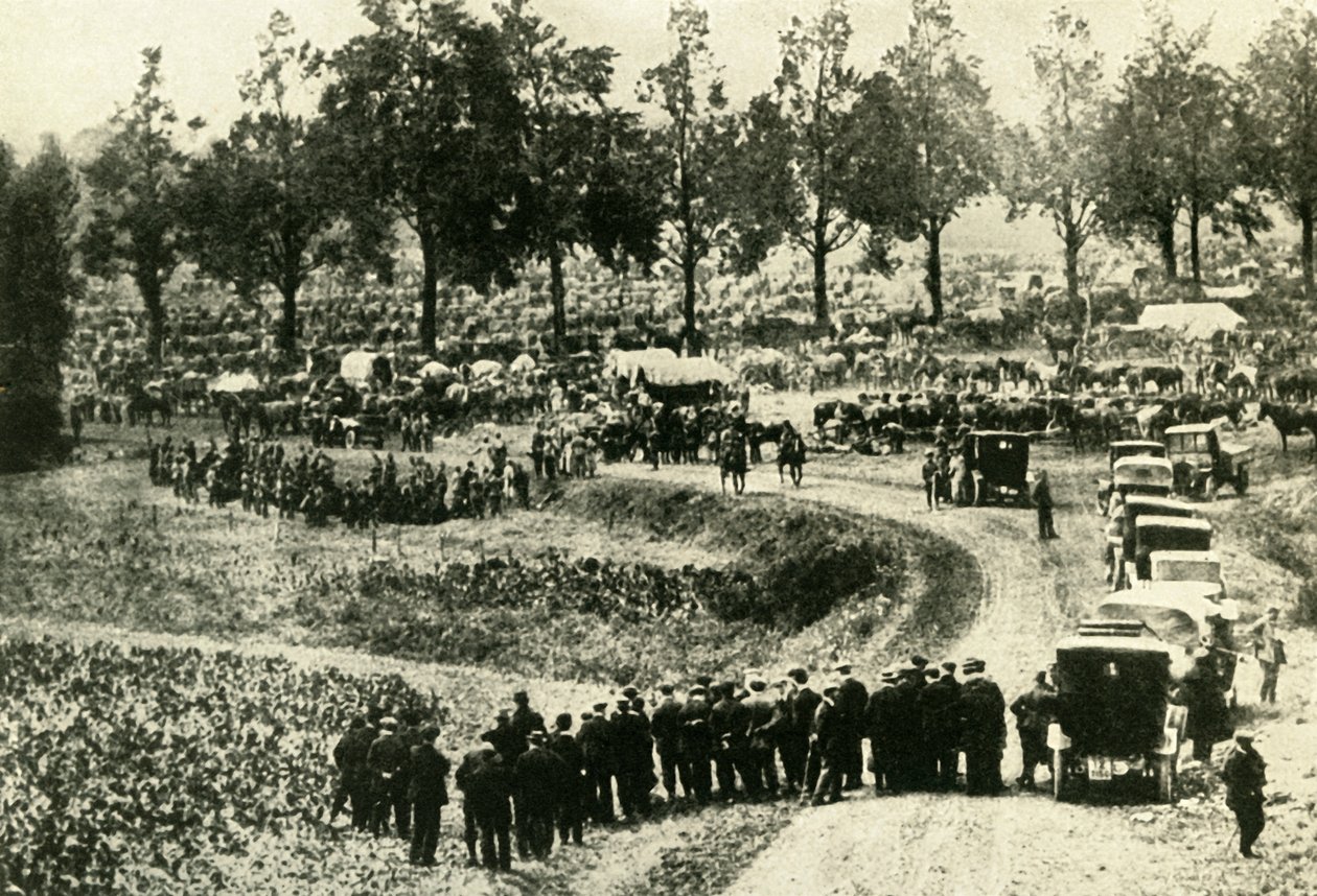 Almanlar Belçika