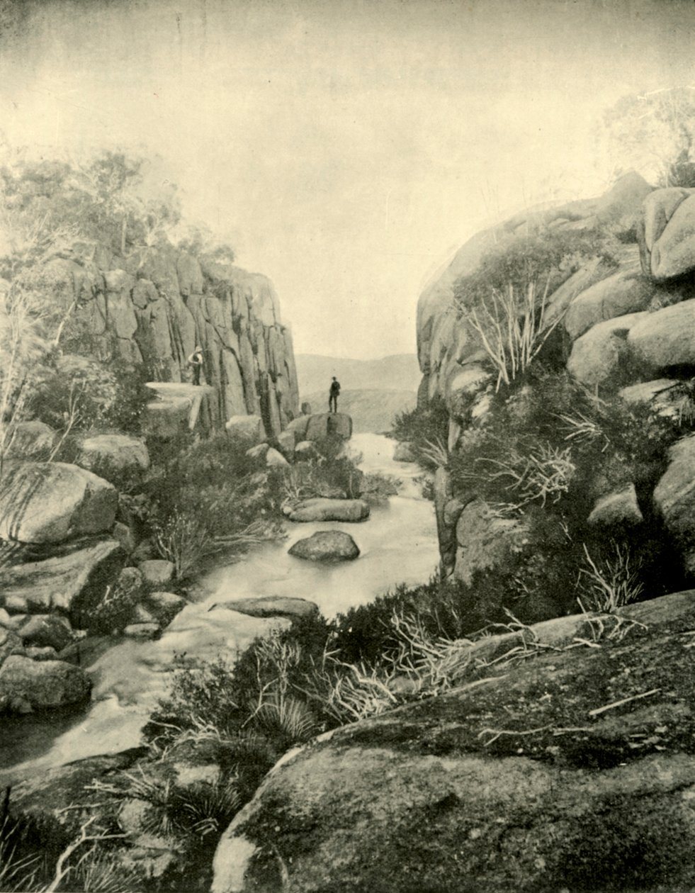 Gorge, Buffalo Şelalesi, Victoria Alpleri, 1901. by Unbekannt