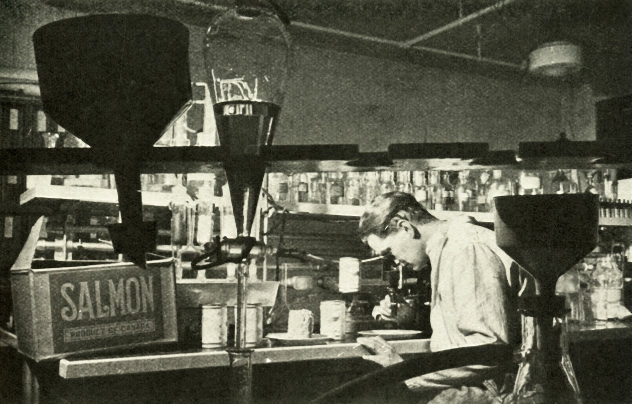 Büyük Somon Endüstrisi, c1948. by Unbekannt