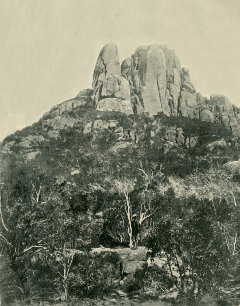 Hump, Buffalo Dağları, 1901. by Unbekannt