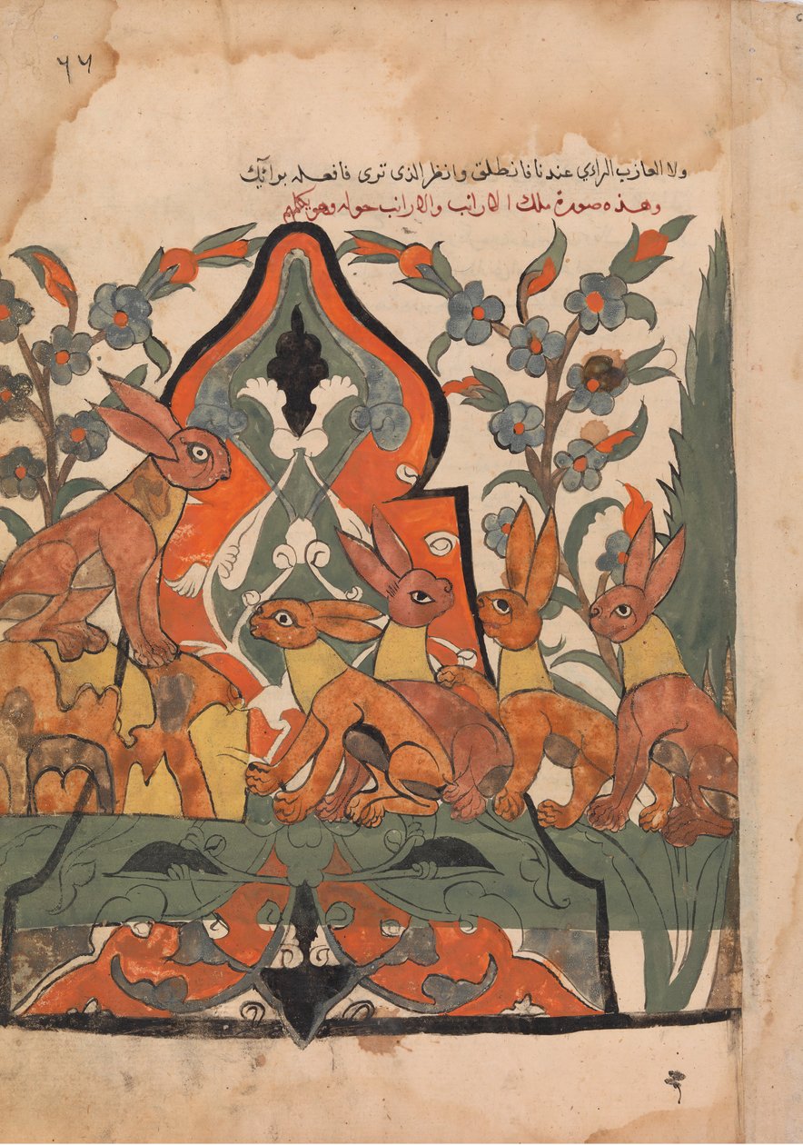 Hares Kralı, Denekleriyle Danışmanda, Bir Kalila ve Dimna