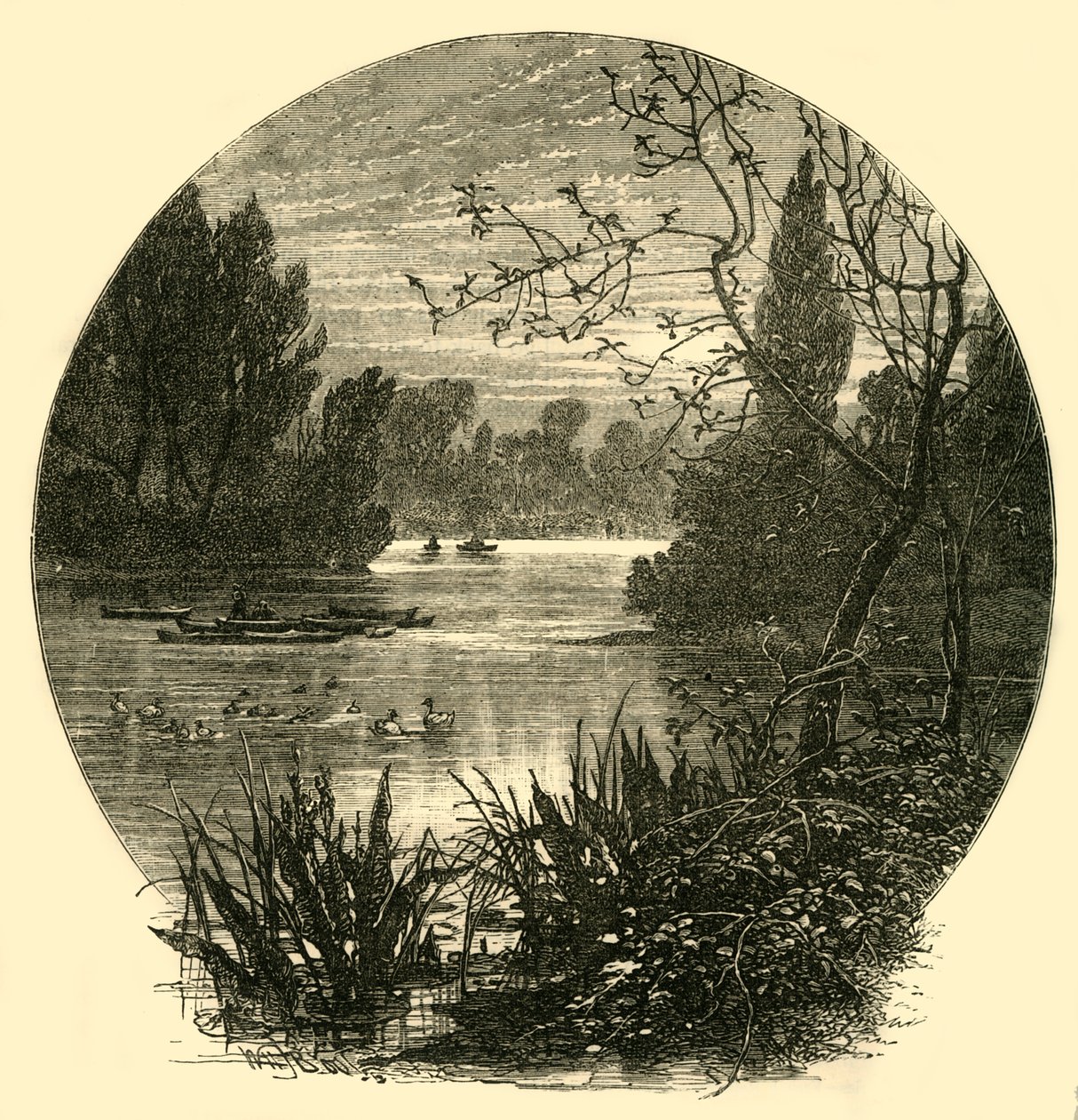 Göl, Battersea Parkı, c1878. by Unbekannt
