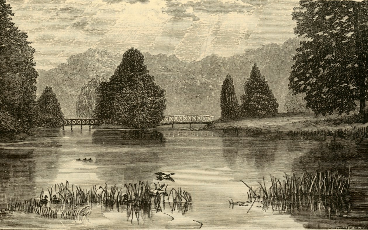 Göl, Blenheim, 1898. by Unbekannt