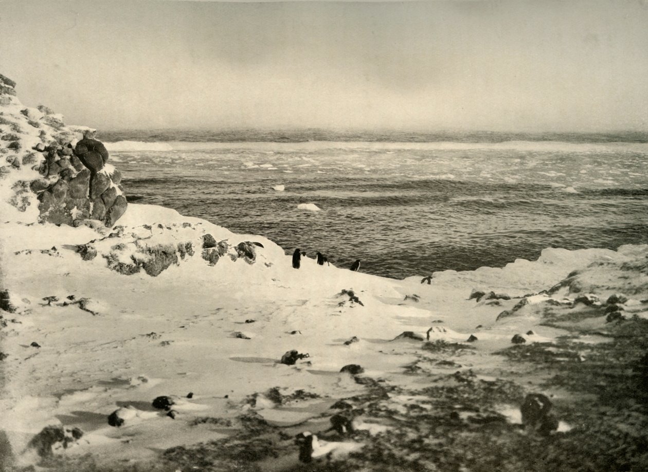 Penguenlerin Son Göçünden Hemen Önce Mart, c1908, 1909. by Unbekannt