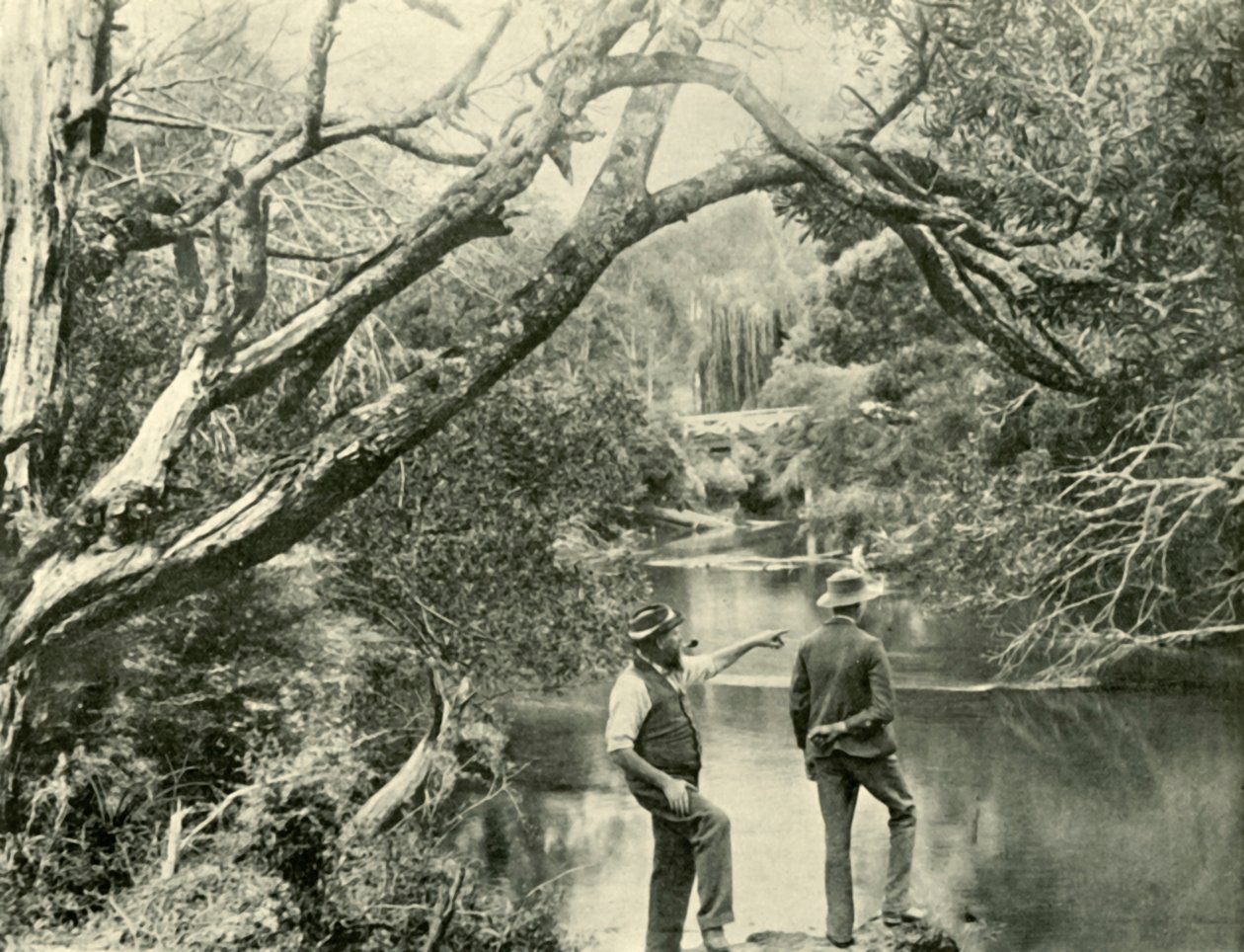 Fırlatma Yeri, Yukarı Yarra, Victoria, 1901. by Unbekannt