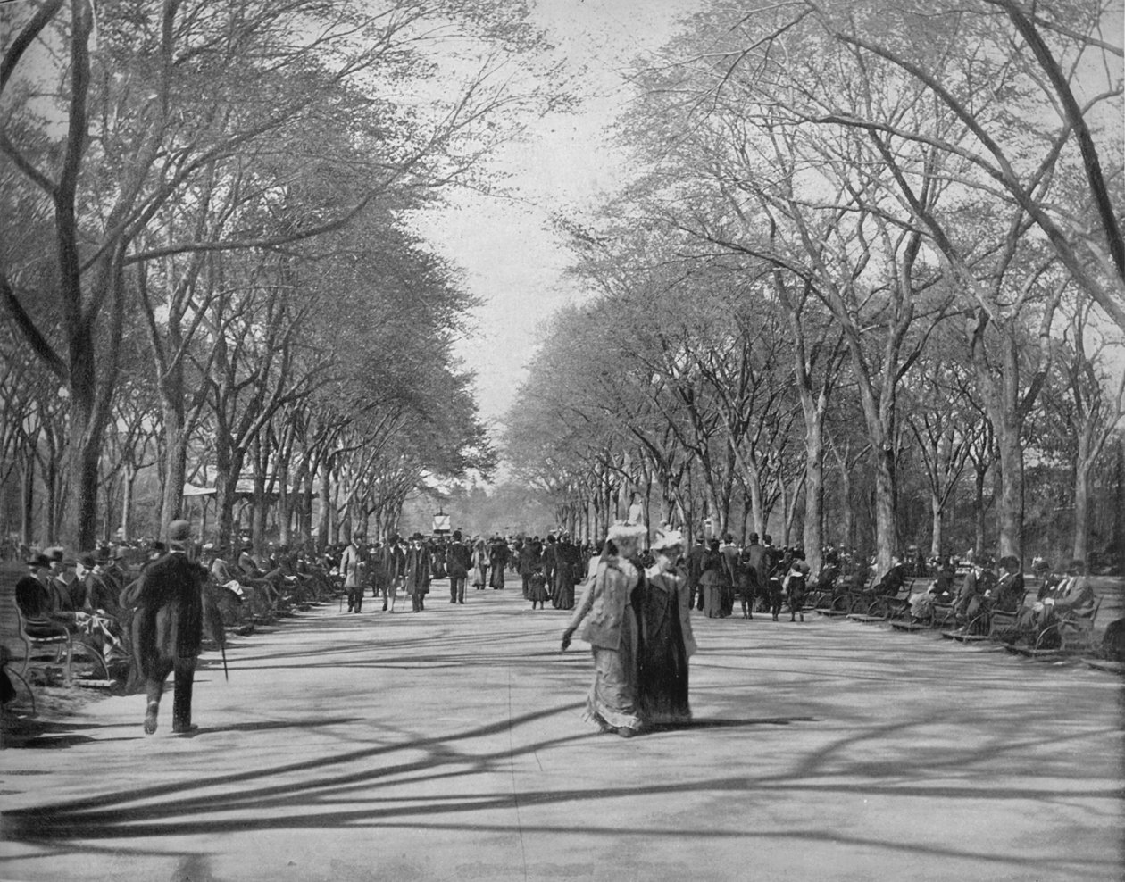 Alışveriş Merkezi, Central Park, New York, c1897. by Unbekannt