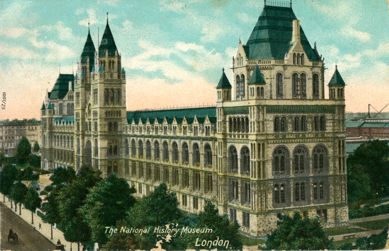 Ulusal Tarih Müzesi, Londra, c1910. by Unbekannt