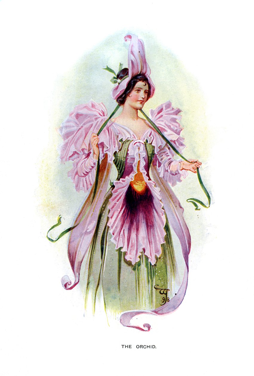 Orkide, 1899 by Unbekannt
