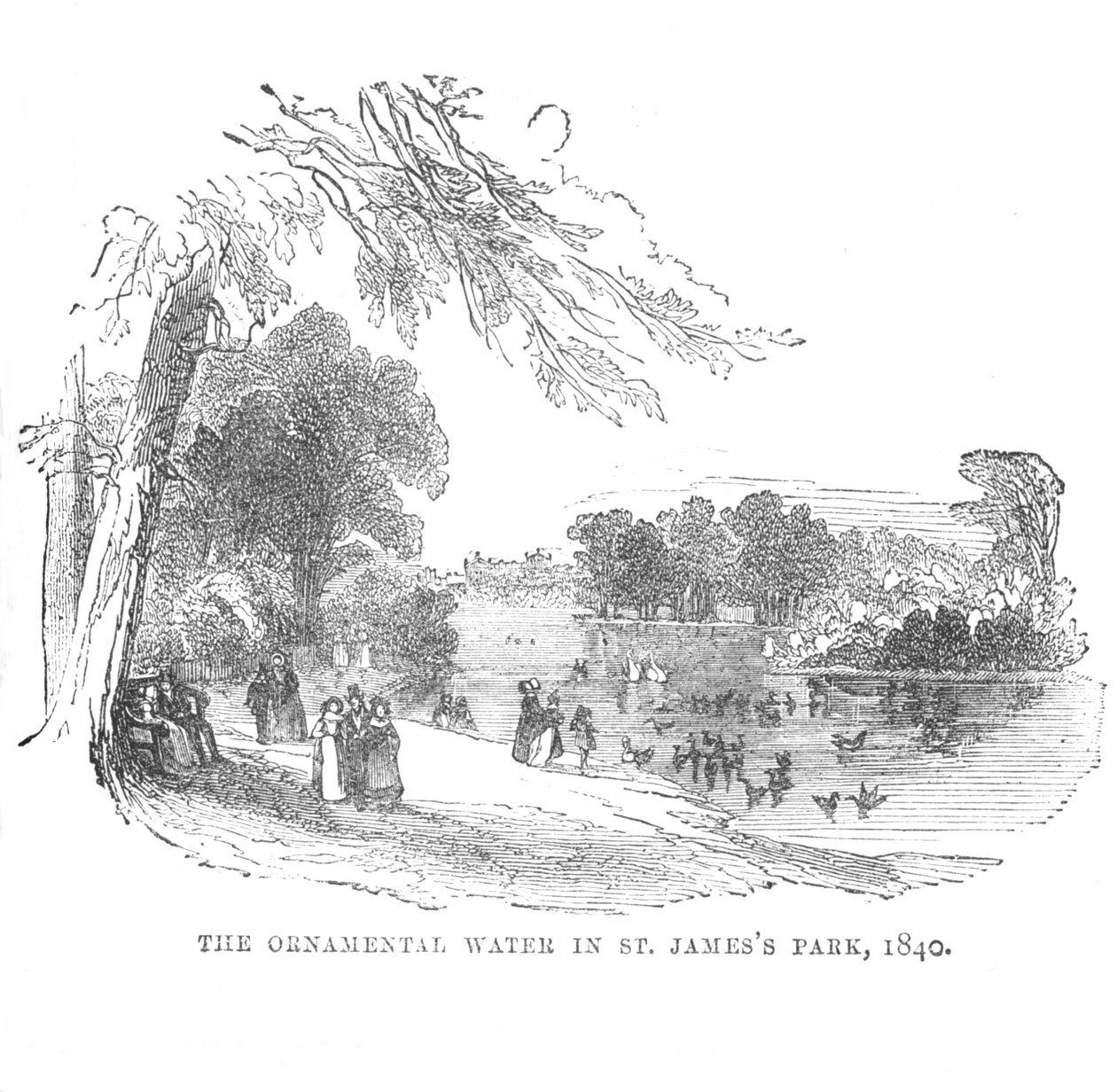St. James Park