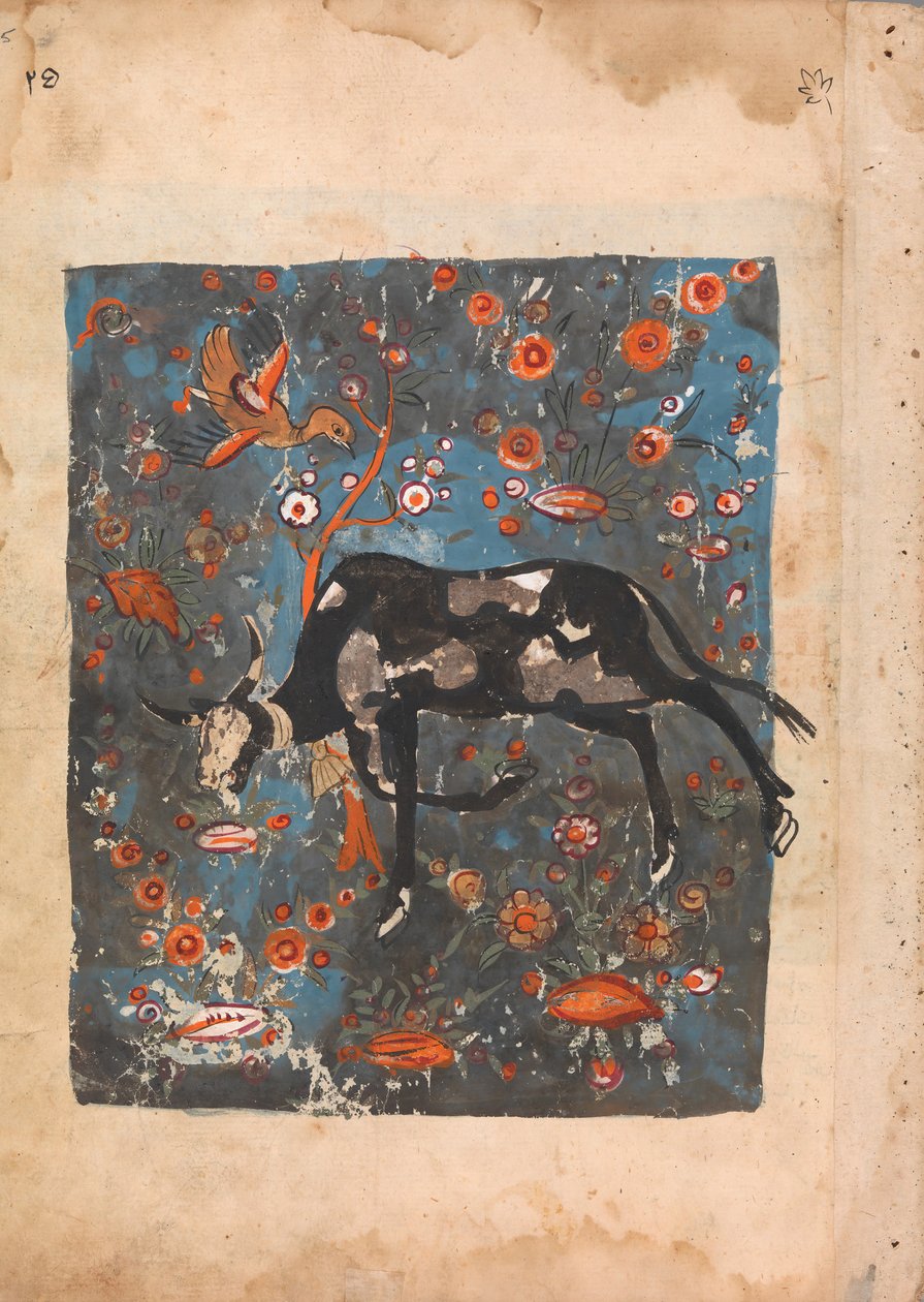 Geride Kalan Öküz Shanzabeh, Aslan Kralın Topraklarında Otlayan..., 18. yüzyıl. by Unbekannt