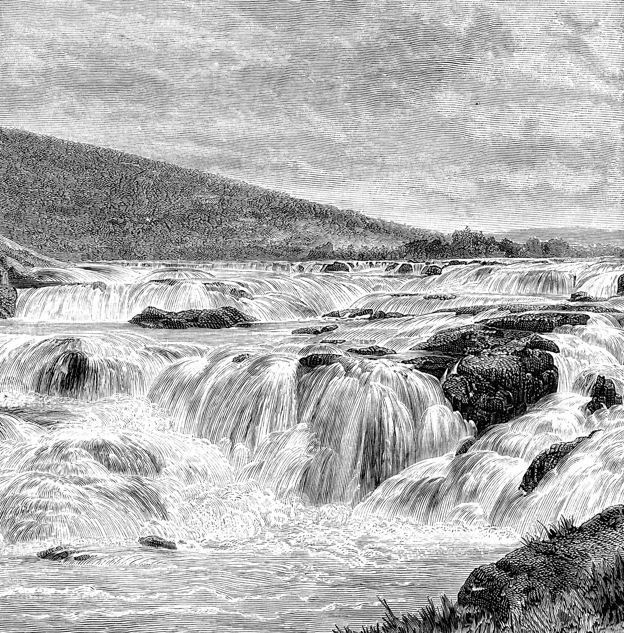 Nilgiris