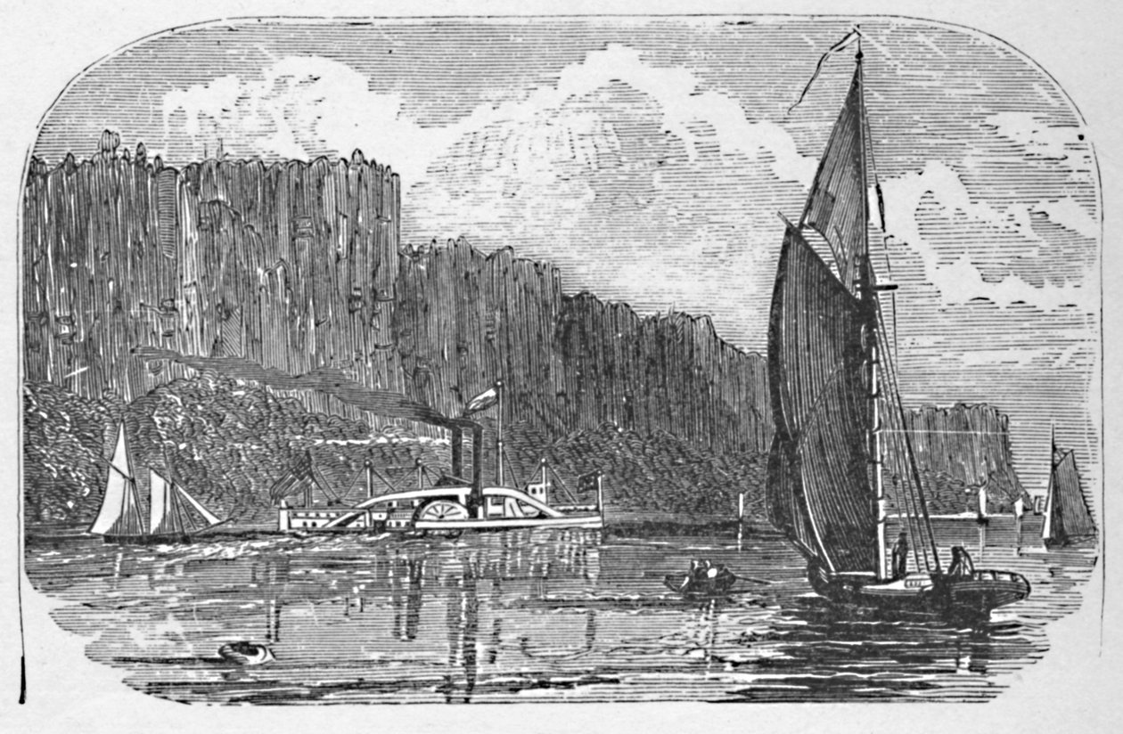 Palisades, 1883 by Unbekannt