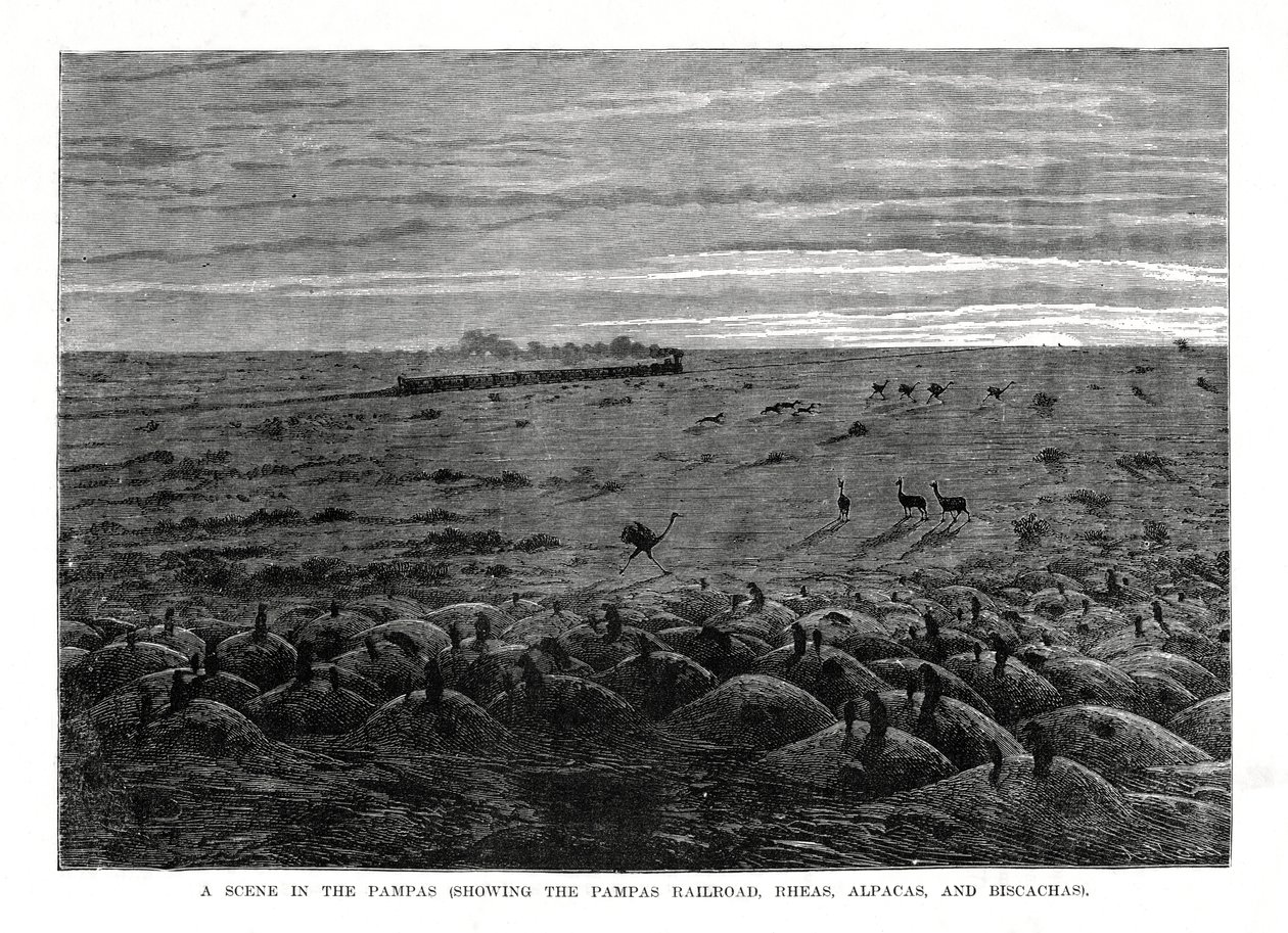 Pampa Demiryolu, Güney Amerika ovaları, 1877 by Unbekannt