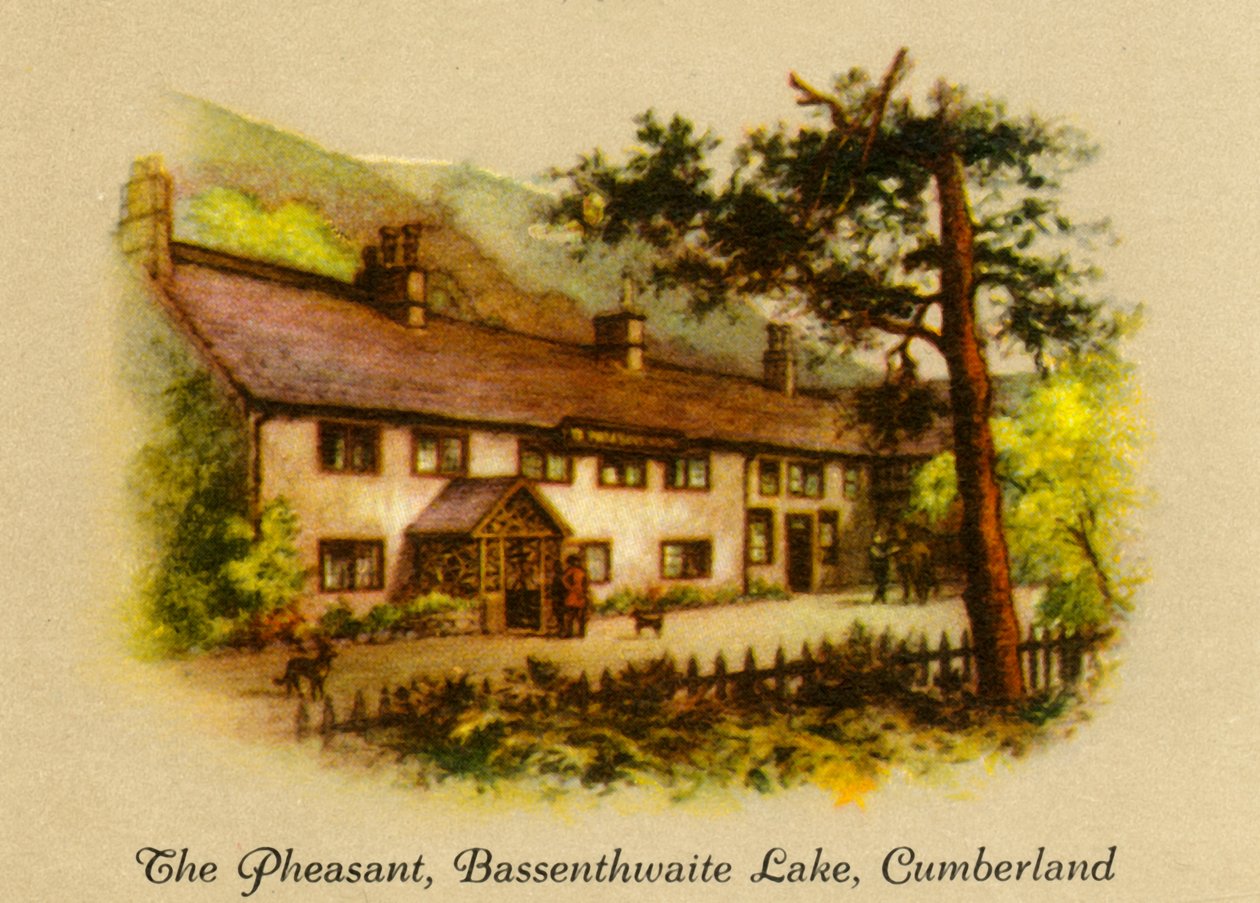 Sülün, Bassenthwaite Gölü, Cumberland, 1936. by Unbekannt