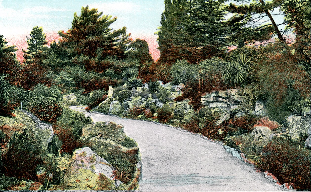 Rockery, Kew Gardens, Richmond upon Thames, Londra, 20. Yüzyıl by Unbekannt