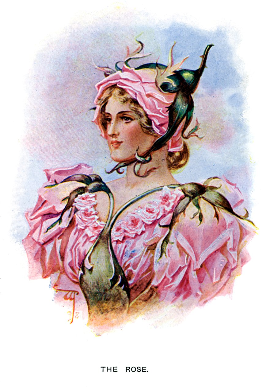 Gül, 1899 by Unbekannt