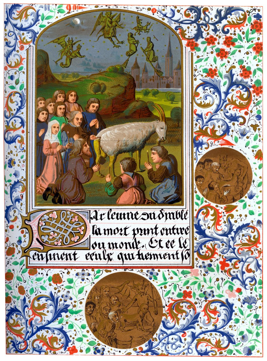 Vaudois, Fransa