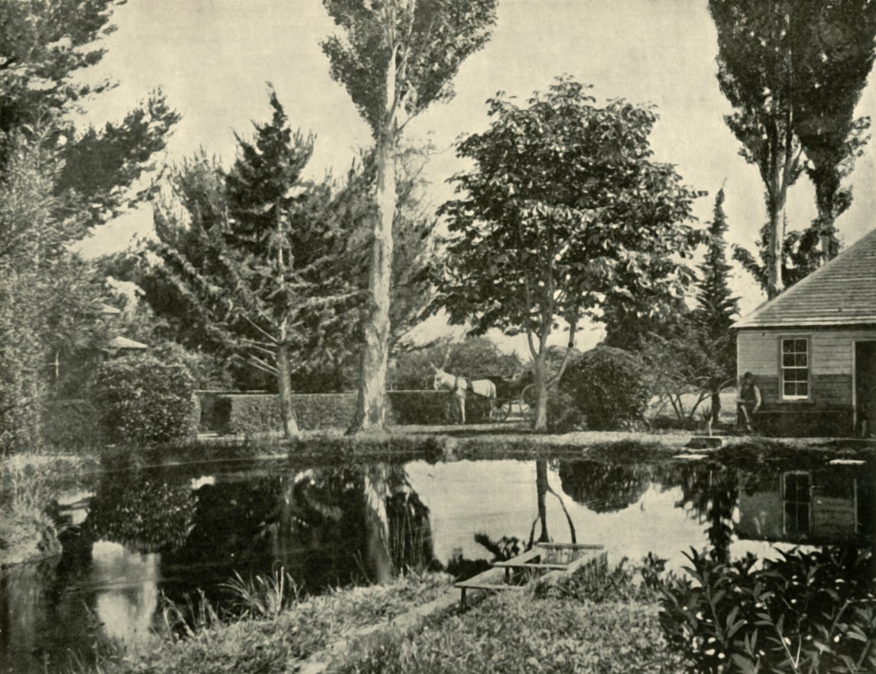 Somon Havuzları, Yeni Norfolk, 1901. by Unbekannt