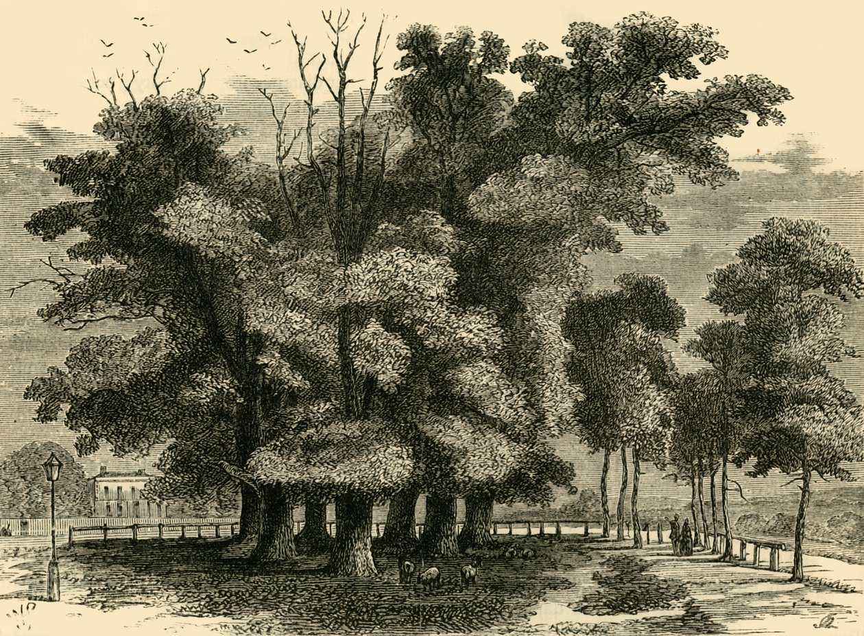 Yedi Kızkardeş, 1830, c1876. by Unbekannt