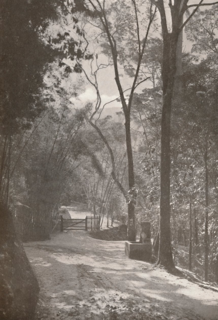 Tijuca'nın Ruhu, 1914 by Unbekannt