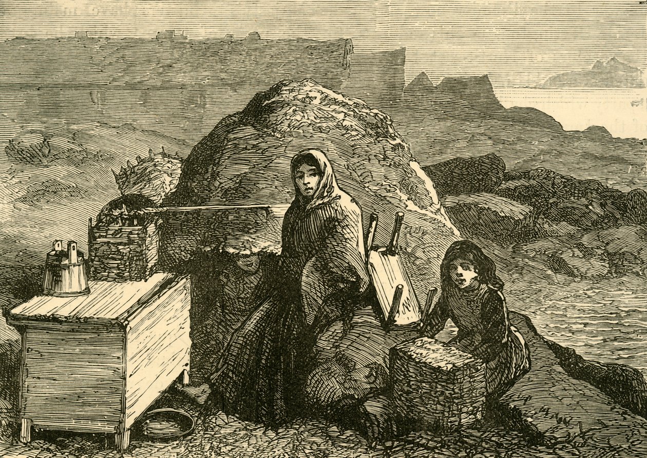 İrlanda Eyaleti: Errismore Yakınlarında Tahliye Edilmiş Bir Aile, c1880. by Unbekannt