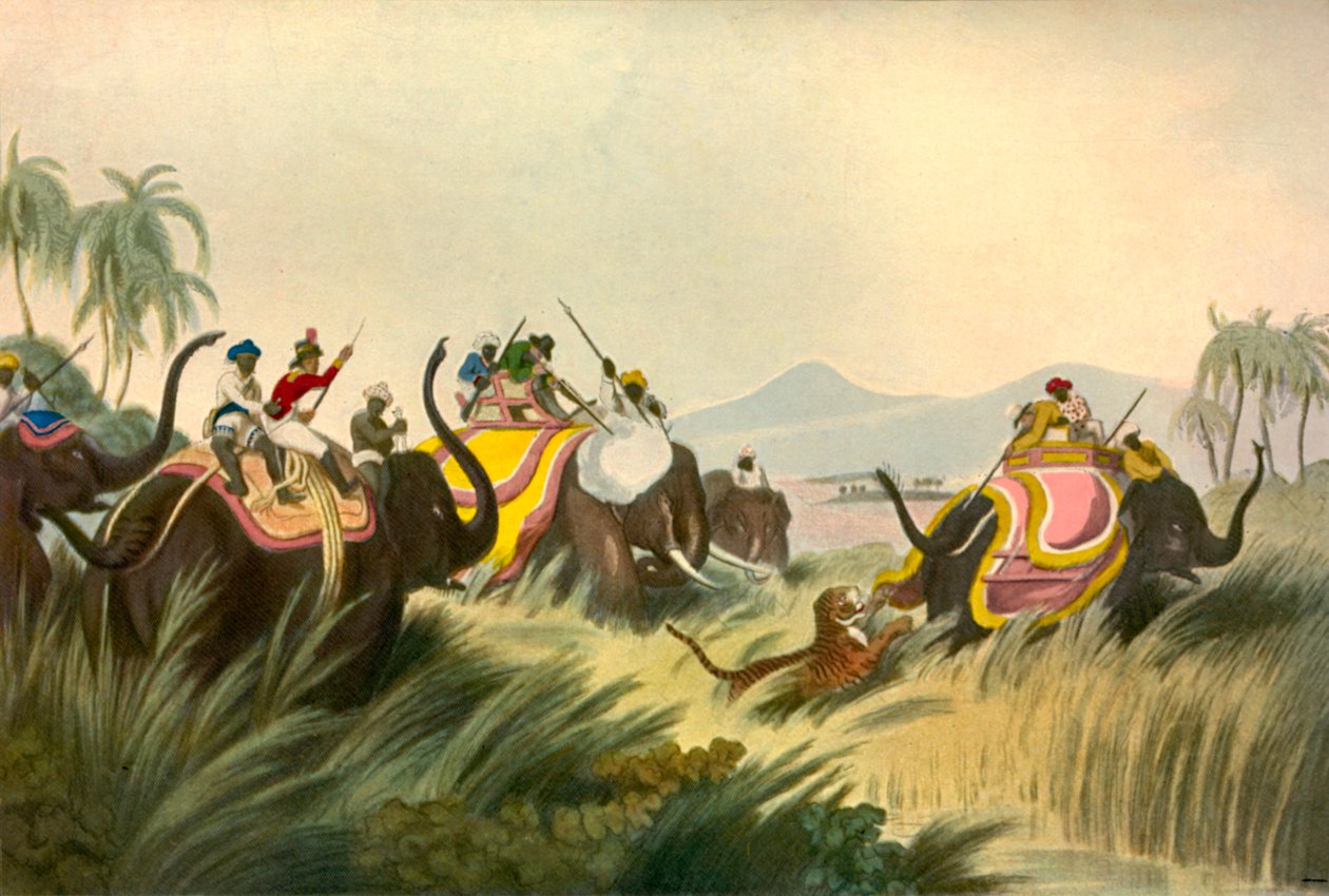 Kaplan Avı, c1808, 1901. by Unbekannt