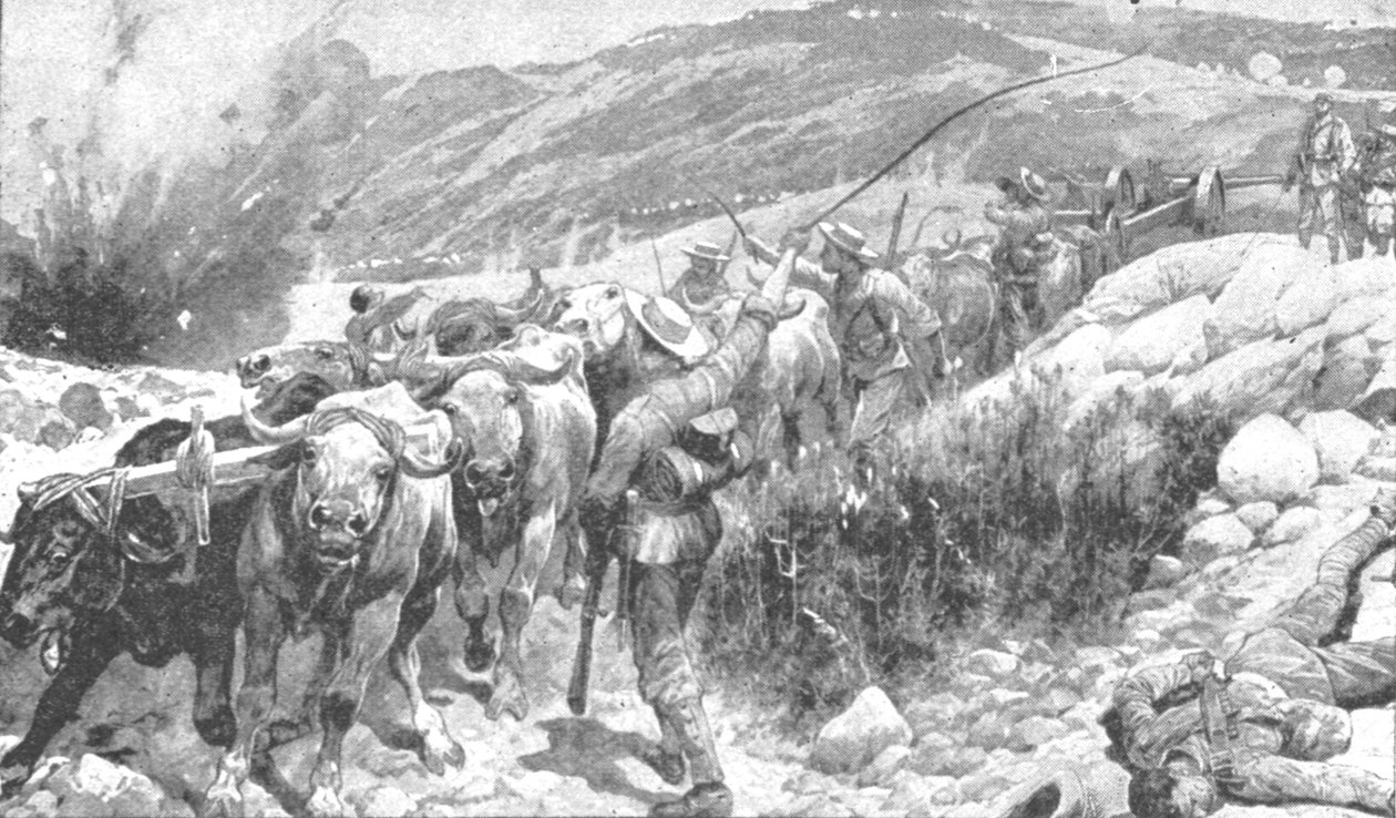 Transvaal Savaşı, 1899-1901: Bir Silahı Kurtaran Mavi Ceketliler, 1901. by Unbekannt