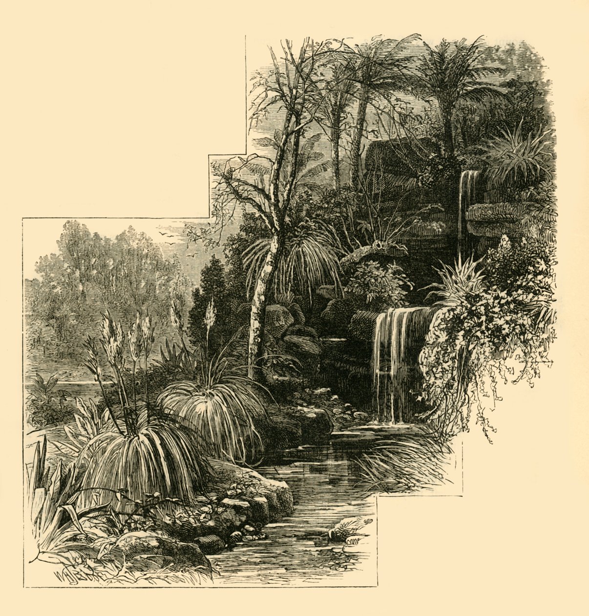 Tropikal Bahçeler, Battersea Parkı, c1878. by Unbekannt