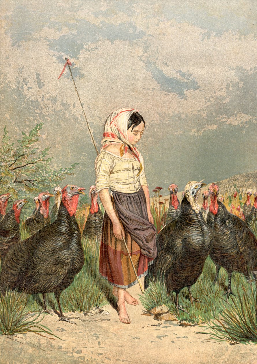 Türkiye Muhafızları, 1858 by Unbekannt