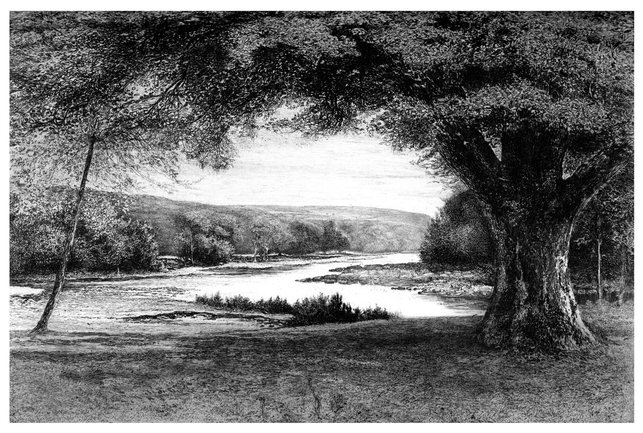 Avoca Vadisi, 1895 by Unbekannt