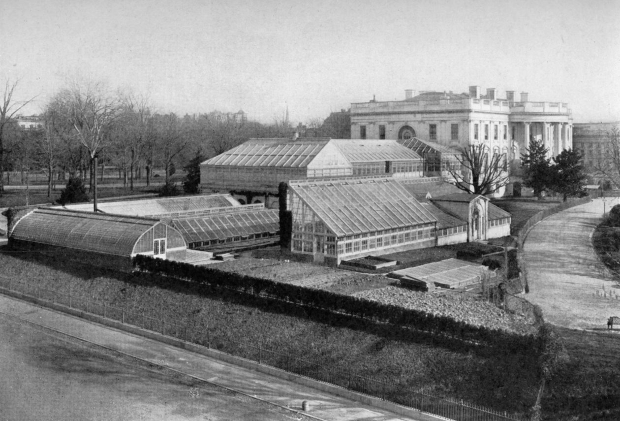 Beyaz Saray ve seralar, Washington DC, ABD, 1908 by Unbekannt