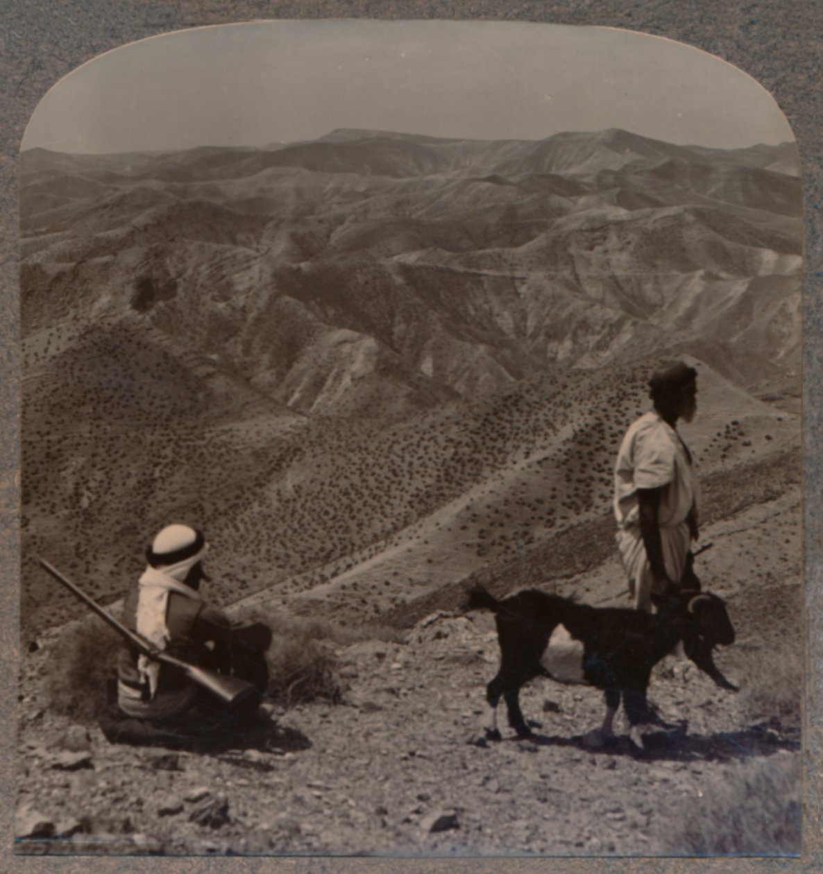 Judea'nın Vahşi Doğası ve Günah Keçisinin Yeri, c1900 by Unbekannt